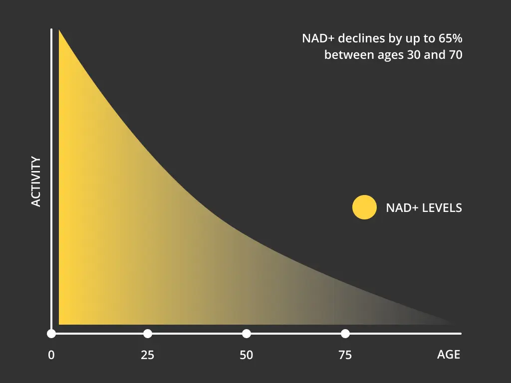 Pourquoi les niveaux de NAD diminuent-ils avec l'âge ?