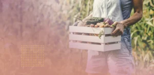 alimentos ricos en nad+, mujeres con una cesta de verduras ecológicas frescas
