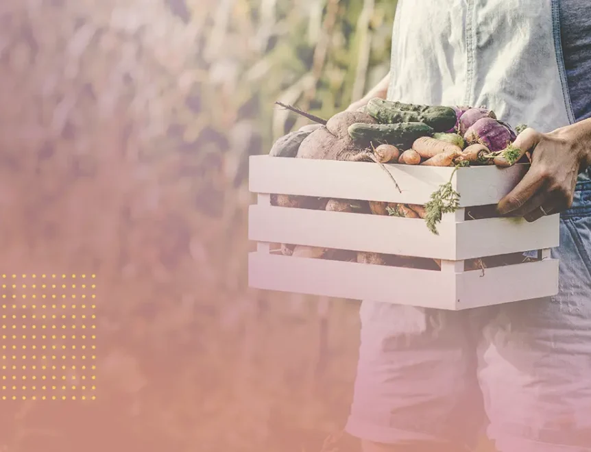 aliments riches en NAD+, des femmes tenant un panier de légumes bio frais