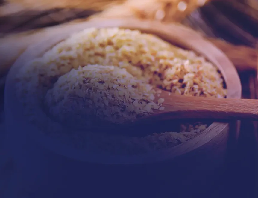 Quels sont les bienfaits de la spermidine, comment agit-elle et quels sont les meilleurs compléments alimentaires ?