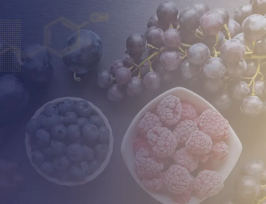 5 aliments riches en resvératrol à consommer plus souvent