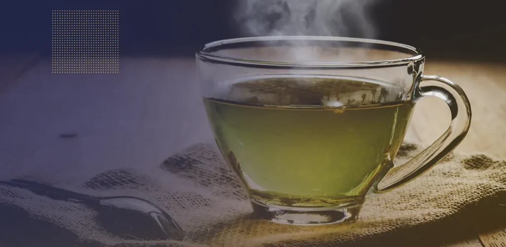 green tea spermidine and spermine, everything you need to know