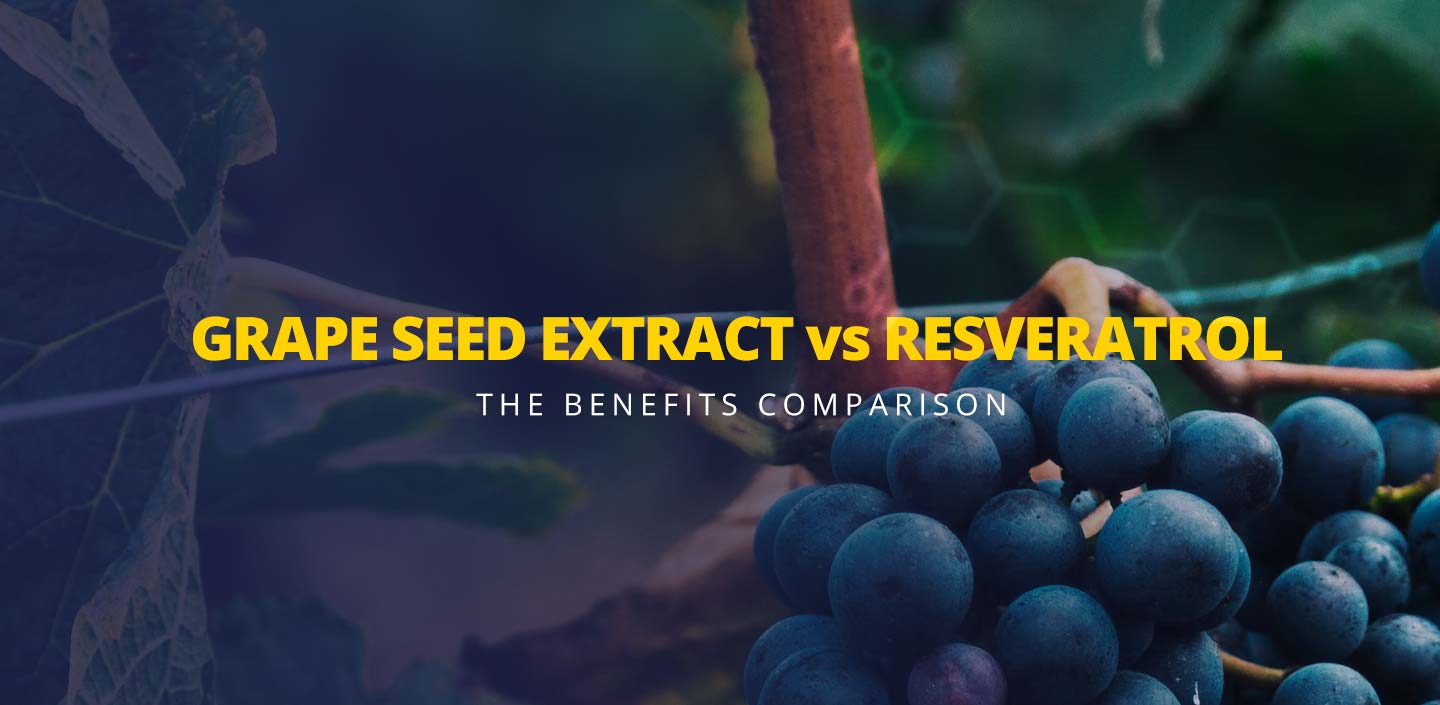 Grape seed extract vs resveratrol the benefits comparison