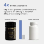 Liposomale spermidine fusie inclusief vitamine B-complex, zink en vitamine D3 voor maximale opname