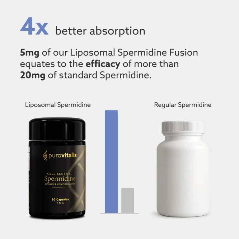 Liposomale spermidine fusie inclusief vitamine B-complex, zink en vitamine D3 voor maximale opname