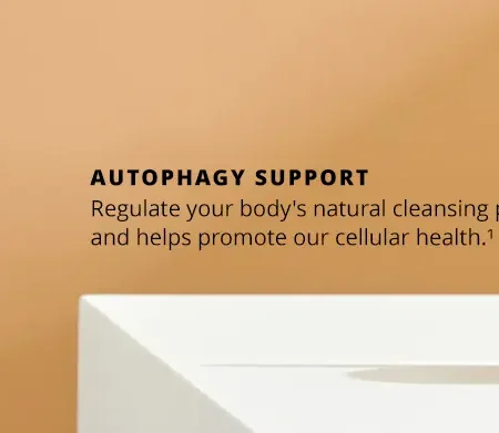 Buy liposomal spermidine fusion to support autophagy