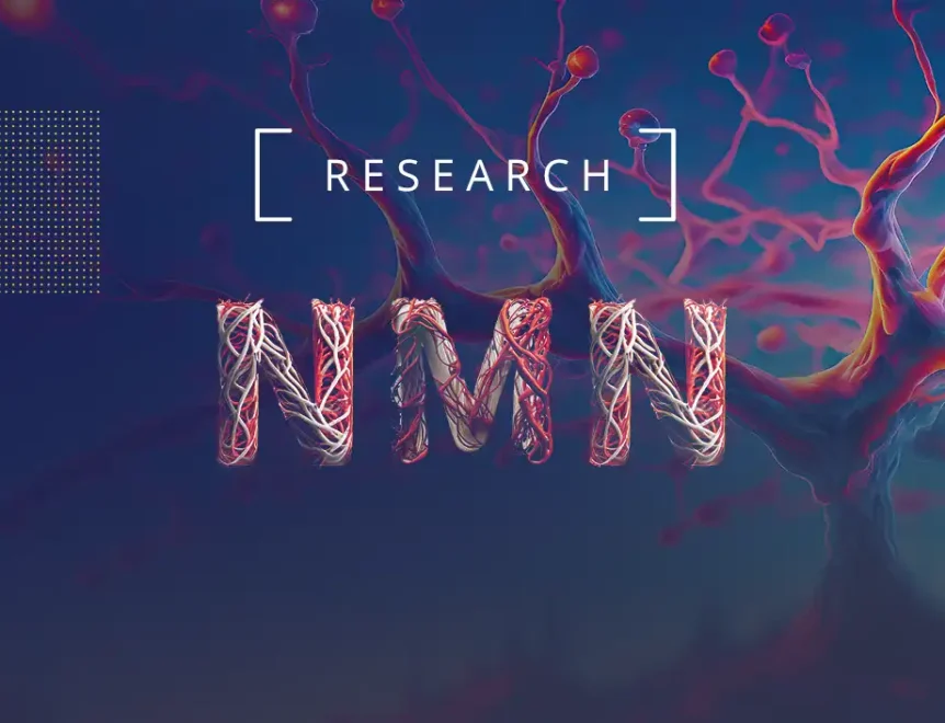 Explore the groundbreaking study on how NMN alleviates inflammation in human primary cell cultures. Dive deep into the mechanisms and potential therapeutic applications of NMN in combating inflammation-related conditions.