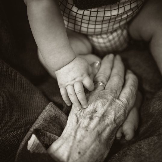 Close-up of a young child's hand gently holding the wrinkled hand of a grandma, symbolizing the connection between generations and the hallmarks of aging and causes of aging.