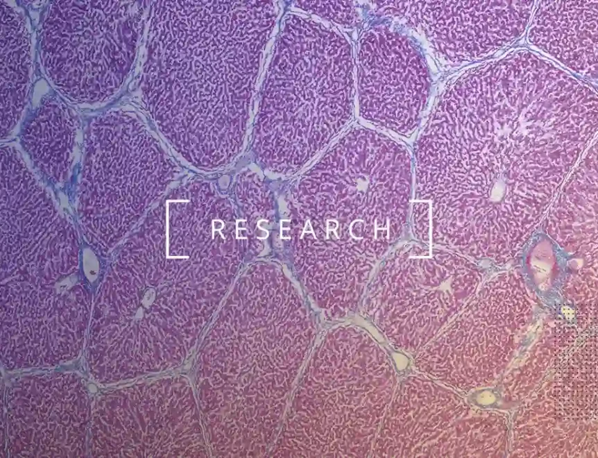 Discover how NMN combats aging-related liver issues by reducing oxidative stress and enhancing liver resilience through the Sirt3-Nrf2 axis.