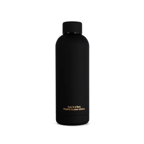Water Bottle – stainless steel water bottle, back