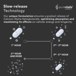 Ca-AKG supplement slow release technology, unik formulering med gradvis frigivelse af calcium alfa-ketoglutarat, der optimerer optagelsen og giver maksimal effekt.