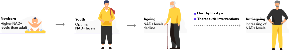 nad levels decline with age
