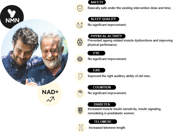 prospects for increasing nad potential health benefits in human model