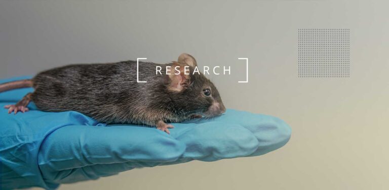 Estudio: El NMN prolonga la vida y mejora la salud intestinal en ratones que envejecen