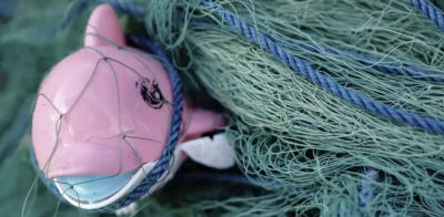 plastic dolfin in fishing net