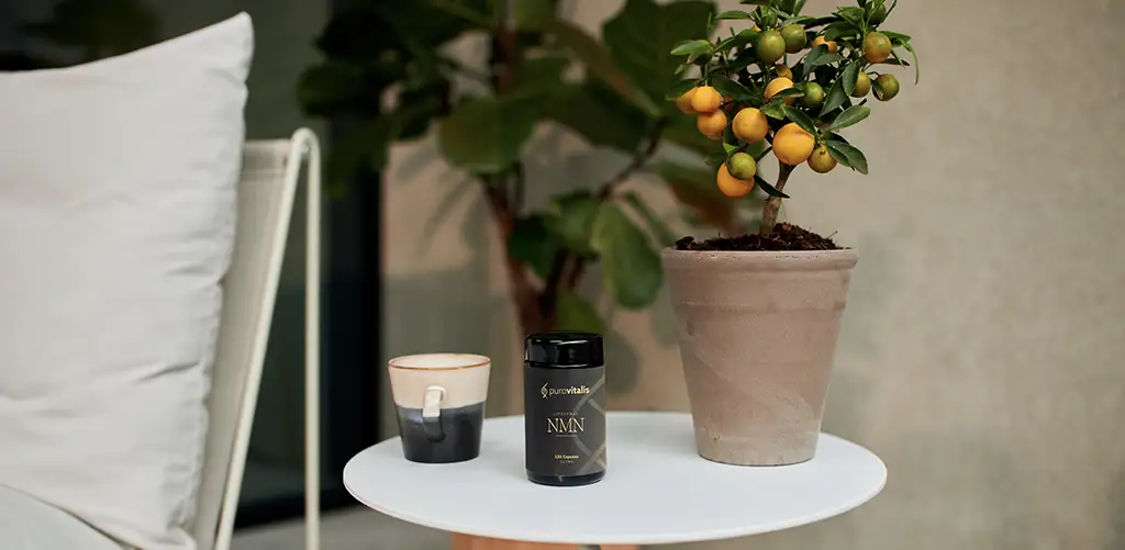 Sul tavolo c'è una bottiglia di integratori NMN, una tazza da caffè e una pianta di arance calamondine.