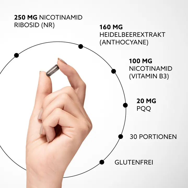 250 mg Nicotinamid-Ribosid (NR), 160 mg Blaubeerextrakt (Anthocyane), 100 mg Nicotinamid (Vitamin B3), 20 mg PQQ, 30 Portionen, Glutenfrei