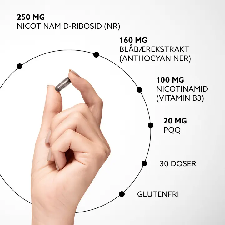 250 mg nikotinamidribosid (NR), 160 mg blåbærekstrakt (anthocyaniner), 100 mg nikotinamid (vitamin B3), 20 mg PQQ, 30 portioner, Glutenfri