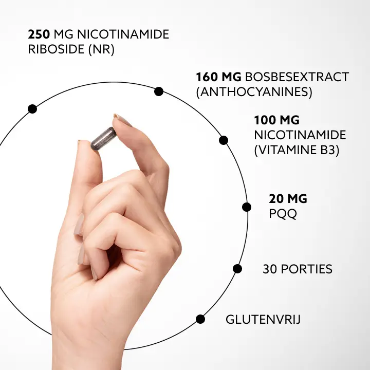 250 mg Nicotinamide Riboside (NR), 160 mg Bosbessenextract (Anthocyanen), 100 mg Nicotinamide (Vitamine B3), 20 mg PQQ, 30 porties, Glutenvrij
