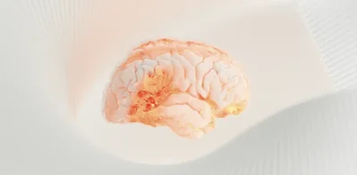 Artsy image of the bain with graphics in orange pink light colours