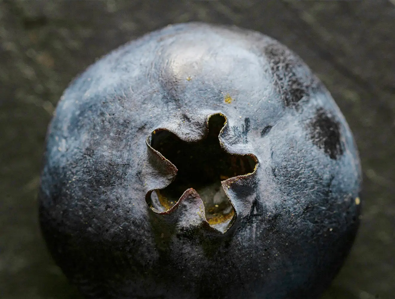 close up blueberry