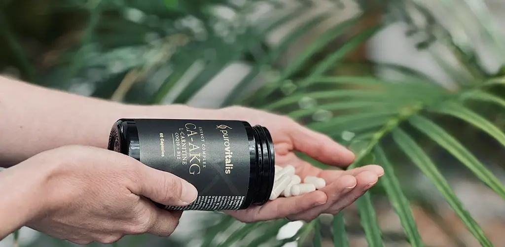 Iemand die Purovitalis Ca-AKG-capsules met L-carnitine en vitamine B12 in zijn hand giet, waarbij de nadruk ligt op longevity ondersteuning van de celenergie.