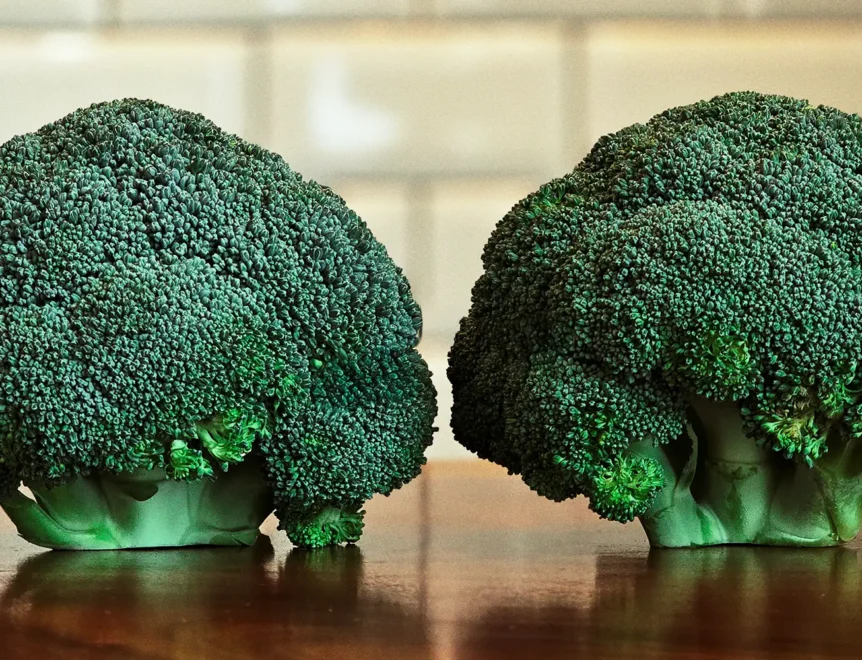 Deux têtes de brocoli vertes et fraîches posées sur un plan de travail en bois, symbolisant des sources alimentaires naturelles riches en précurseurs nécessaires à la synthèse du glutathion.