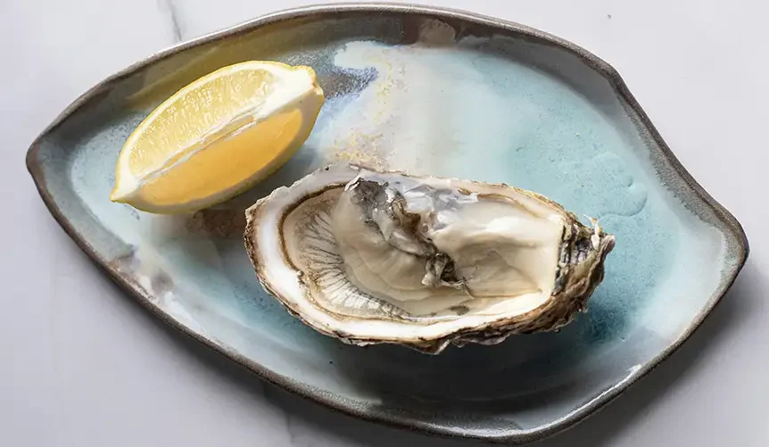 Fresh raw oyster on the half shell with lemon, one of the richest natural food sources of zinc.