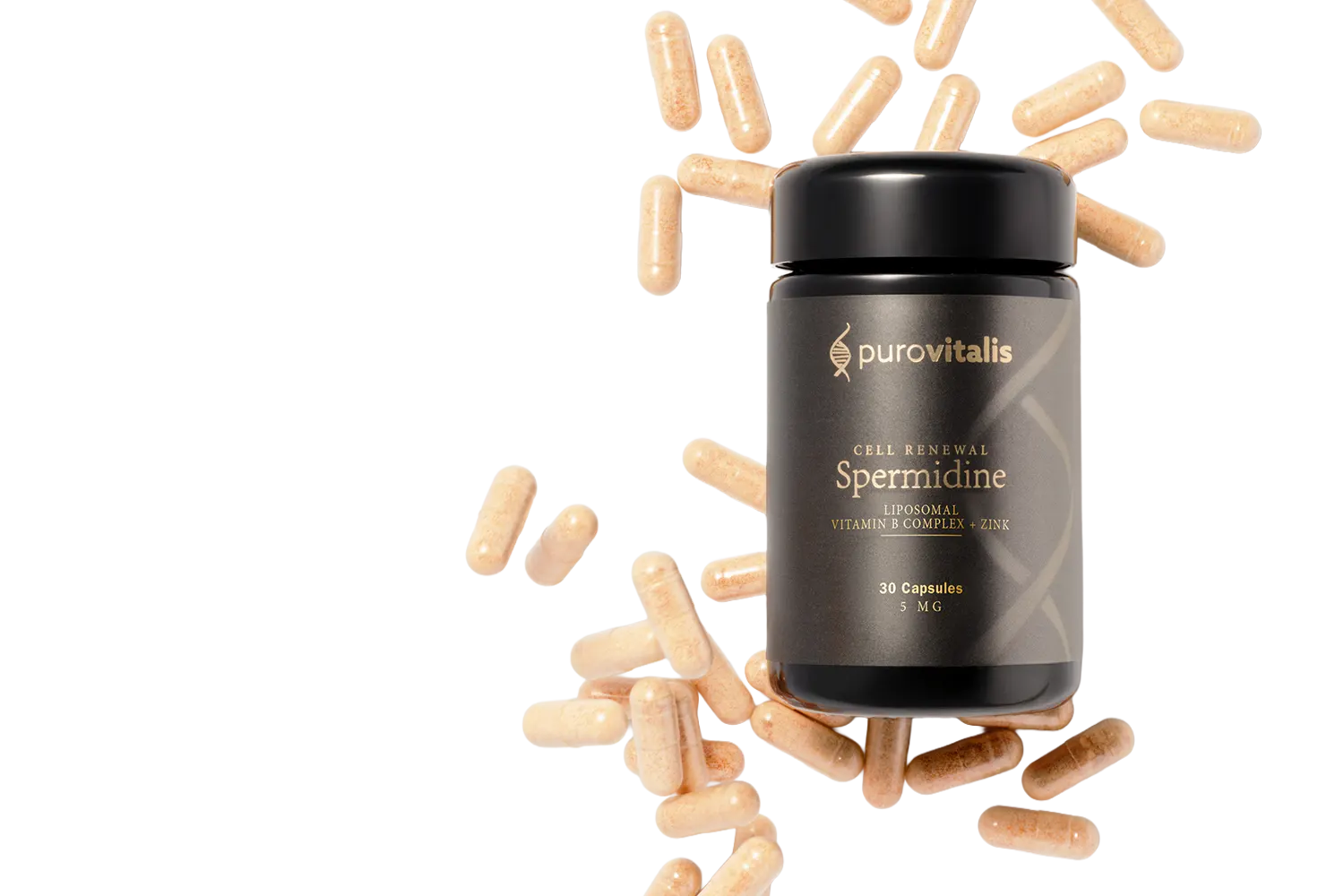 Foundation goal spermidine transparent – Foundation supplements