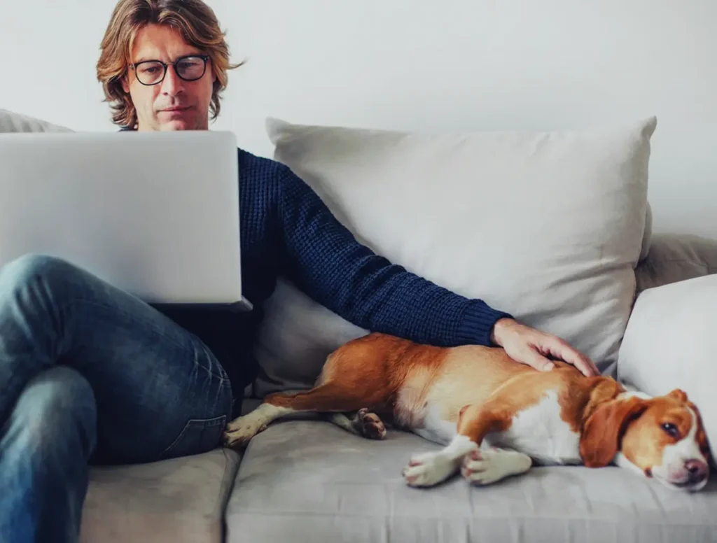 Men dog couch foundation – Supplements for your health goals